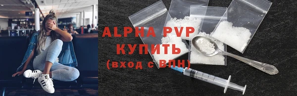 spice Богданович