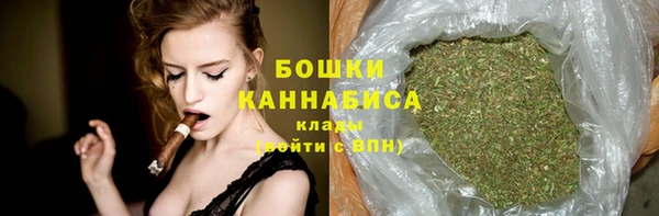 spice Богданович
