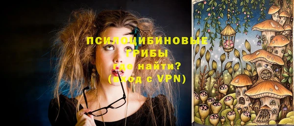 МДПВ Богородицк