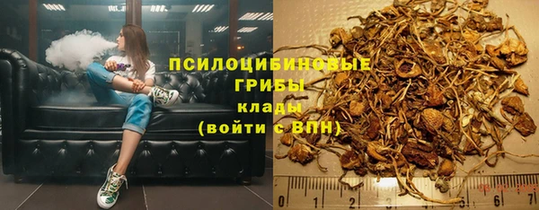spice Богданович