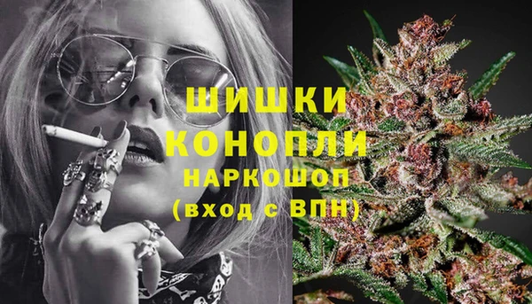 МДПВ Богородицк