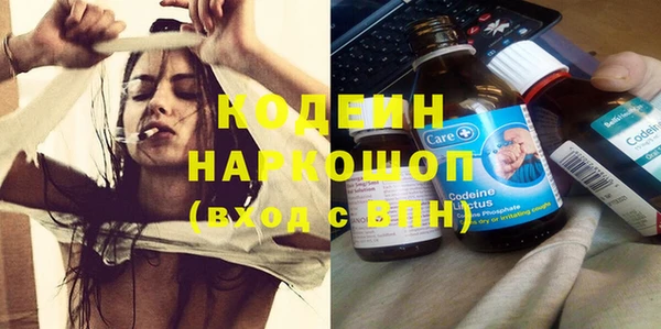 spice Богданович