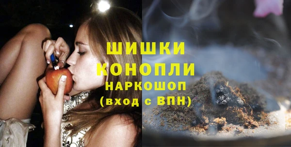 spice Богданович